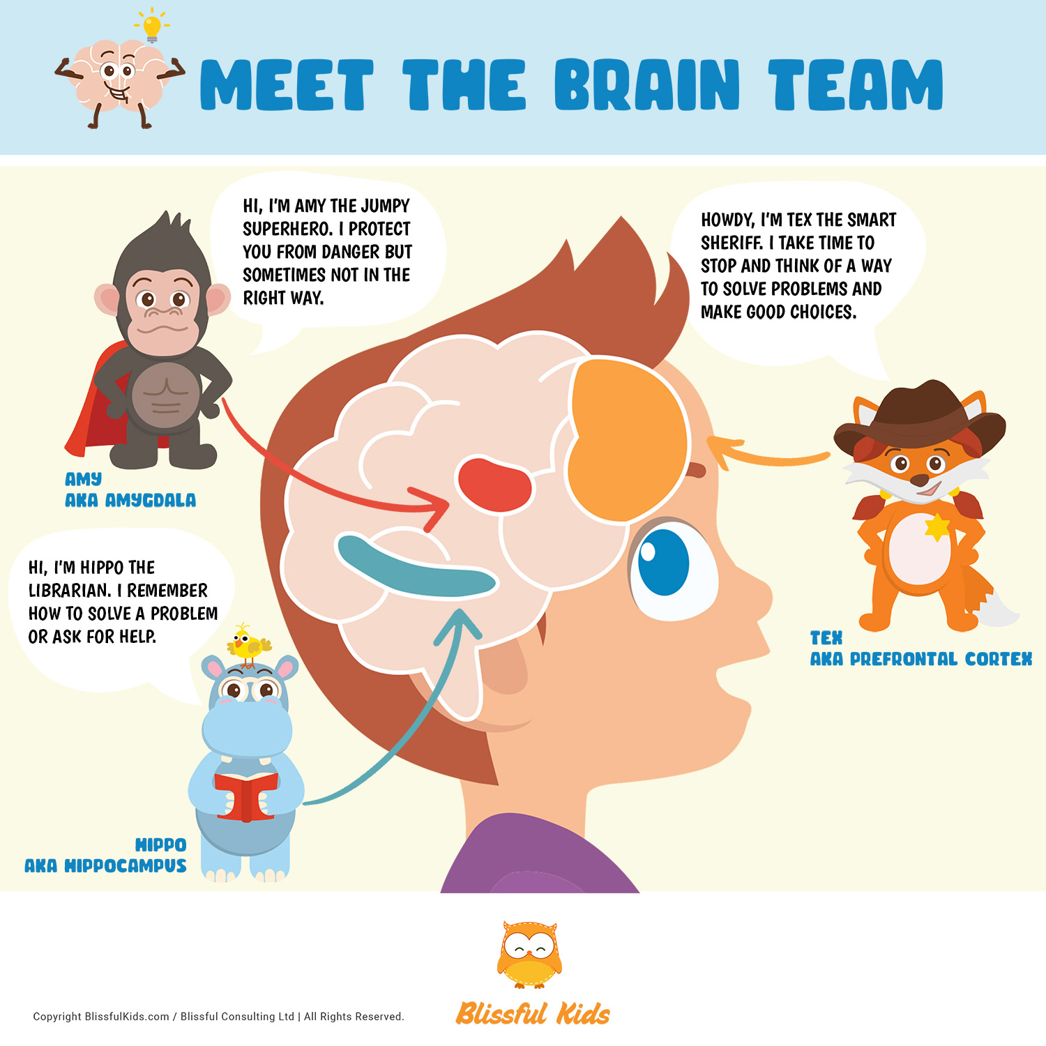 The Stress Response And The Brain And How to Explain It To Kids ...